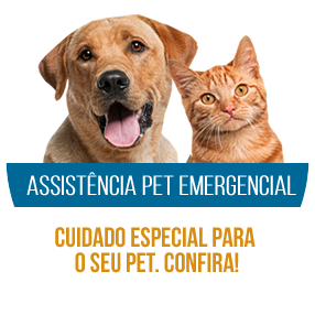 Assistência Pet